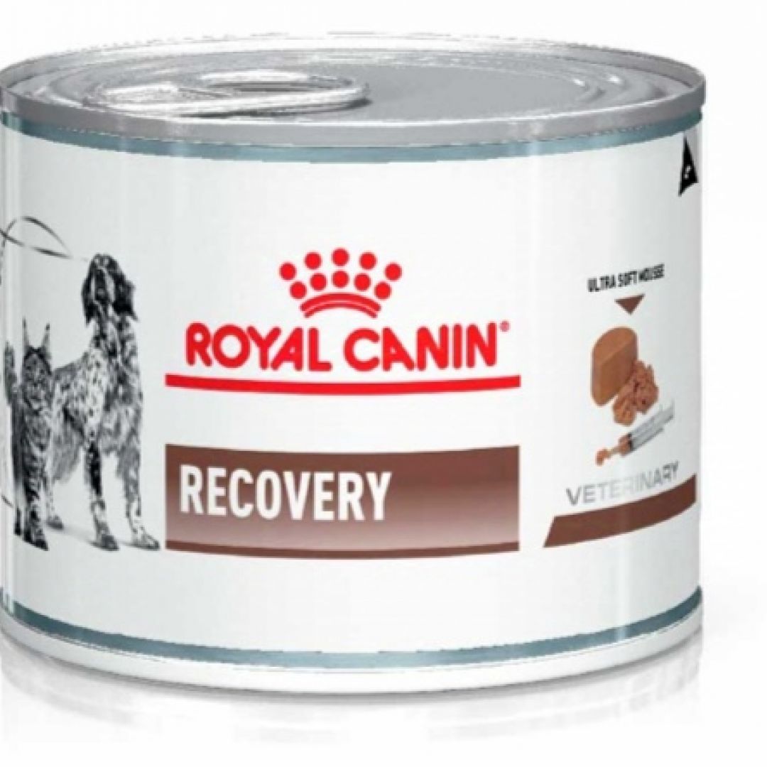 royal-canin-recovery-lata-195gr-164