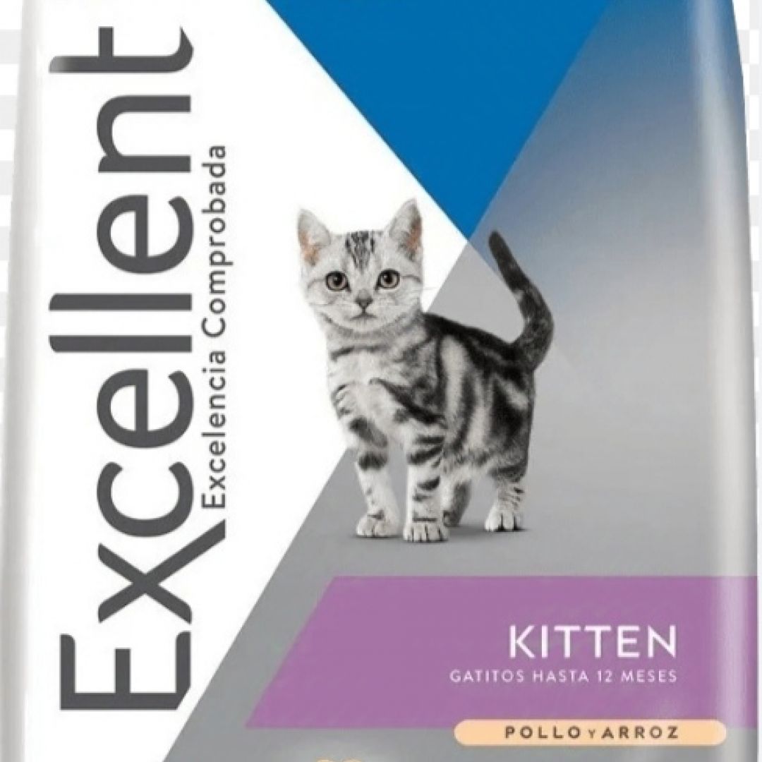 excellent-kitten-1kg-35